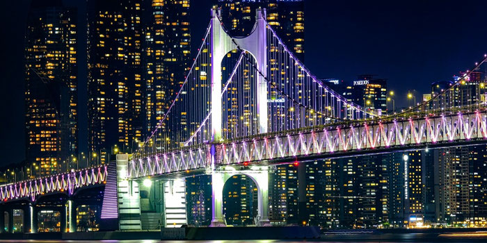 The 3 Best Vegan Restaurants in Busan