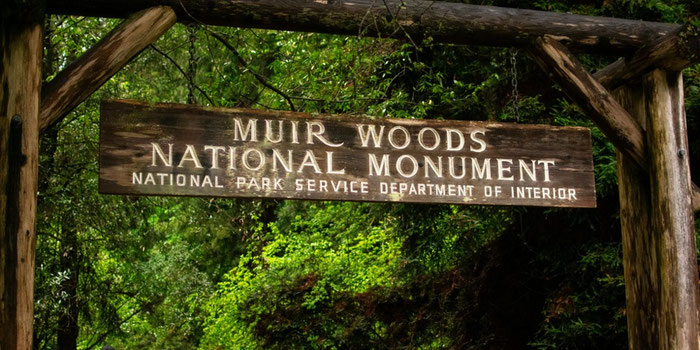 Muir woods national monument 