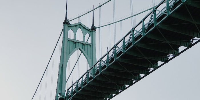 Tour the Bridges of Portland on a River Cruise