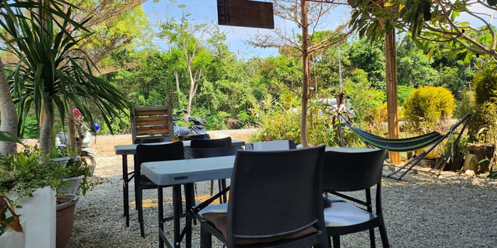 The vegan shack dining