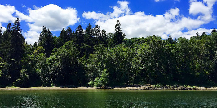 Willamette River