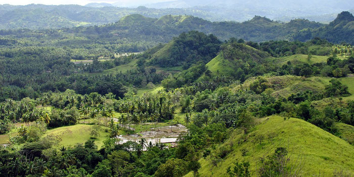 Bohol