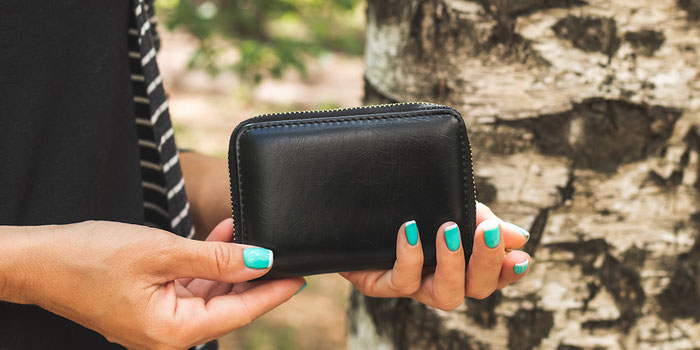 The Anti-theft Travel Wallet