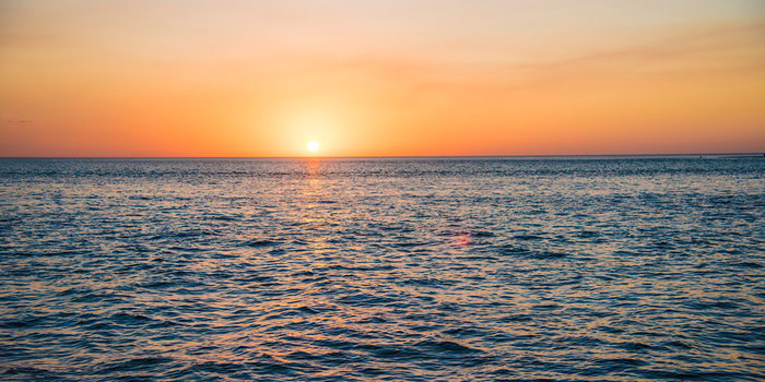 Siesta key