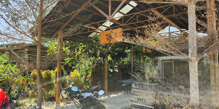 The Best Vegan Restaurant in Bohol: Why You Need to Visit The Vegan Shack