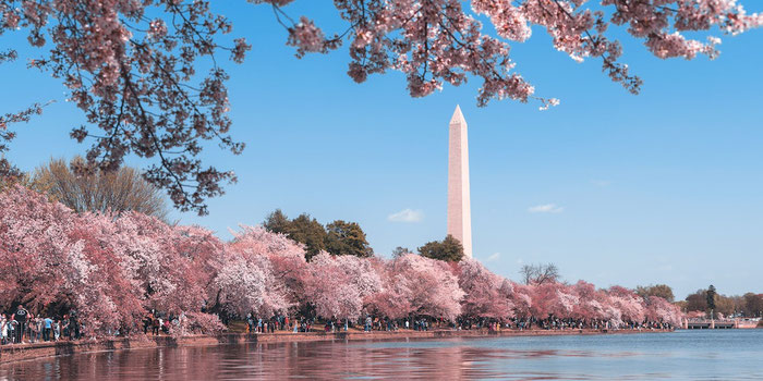 Riverfront Washington DC