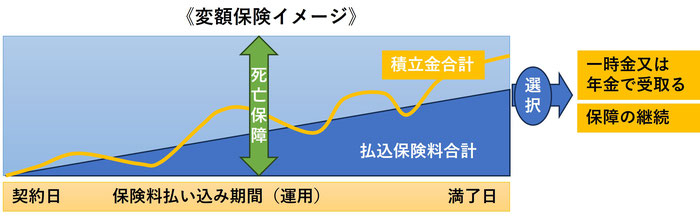 変額保険イメージ《平賀ファイナンシャルサービシズ(株)》