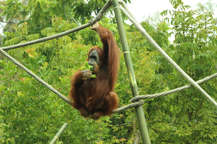San Diego Zoo Travel with Baby or Toddler