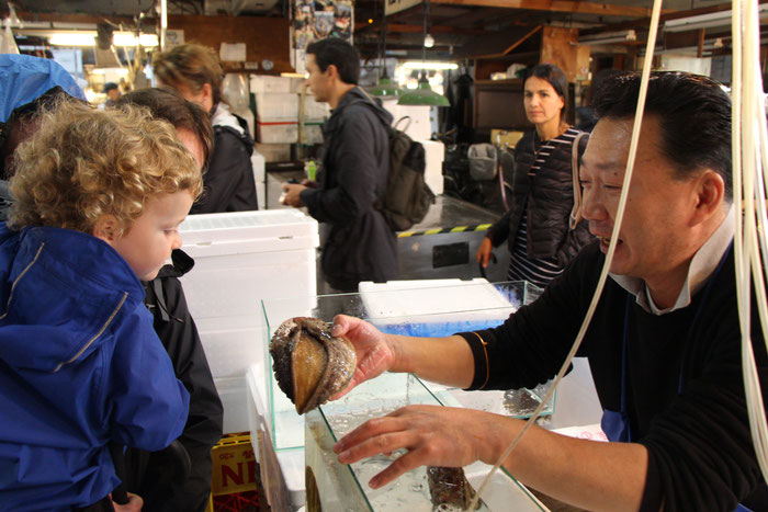 Tsukiji Fish Market Tokyo Japan Baby Toddler