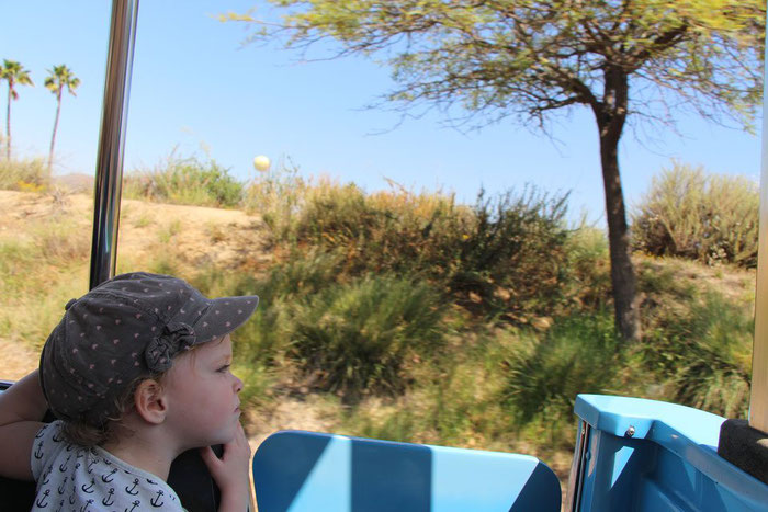 San Diego Zoo Safari Park - Travel California With a Baby