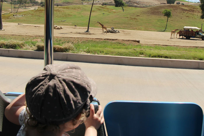 San Diego Safari Park - Travel With a Baby