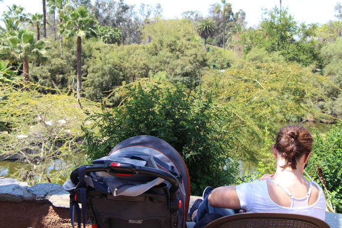 San Diego Zoo with toddler and baby