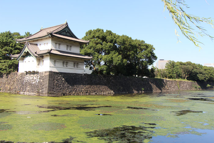 Imperial Palace East Gardens Travel Tokyo Japan with Children