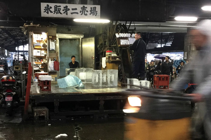 Tsukiji Fish Market Japan Tokyo Travel Baby Toddler