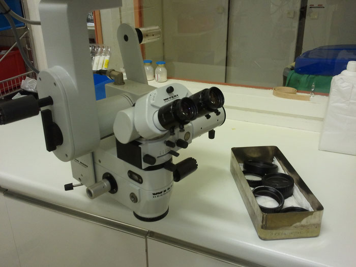 Microscope Opératoire révisé par Claude Gonon Microscopie