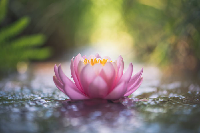 (Bildquelle iStock)