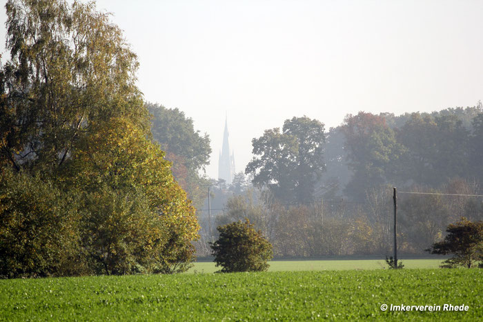 Ansicht des Rheder Kirchturmes, im Vordergrund die umgebende Natur