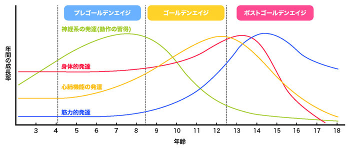 幼少期の年間成長率