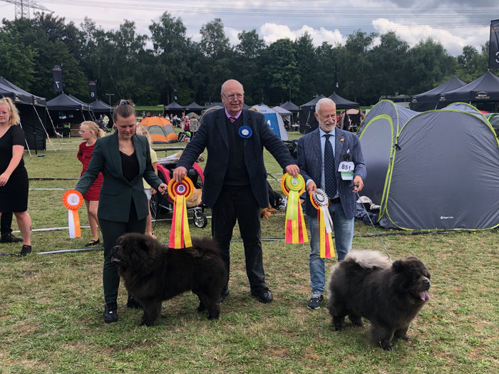 Black Kindom Chance For Win (BOS) und Happy Blue Pearl Shensi For Tassino (BOB)