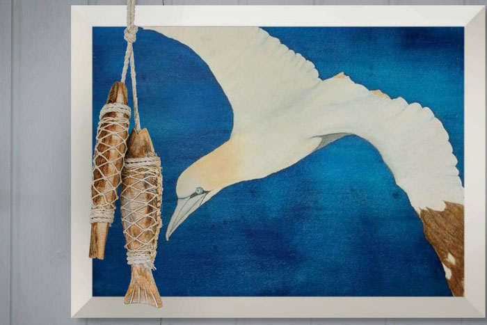 "Súla", size: 26x31cm