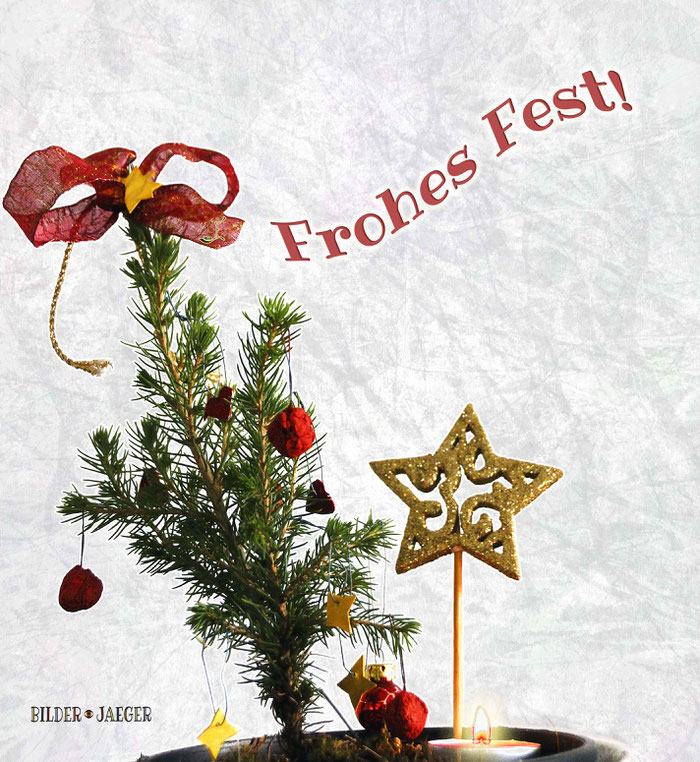 Frohes Weihnachten! Merry Christmas! Joyeux noël! Feliz navidad! Weihnachtsbaum geschmücktes Bäumchen DIY Weihnachtsbaumschmuck
