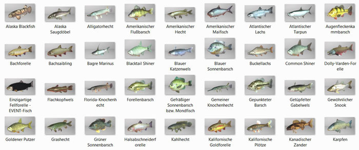 Fischarten Webseite!
