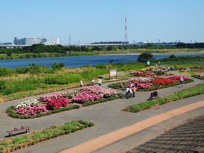 撮影：2015年5月21日