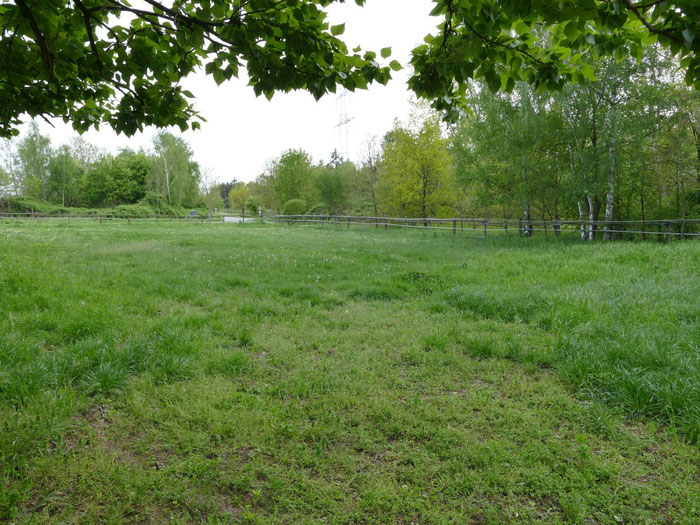 Weide der Schulpferde ich Richtung Paddock
