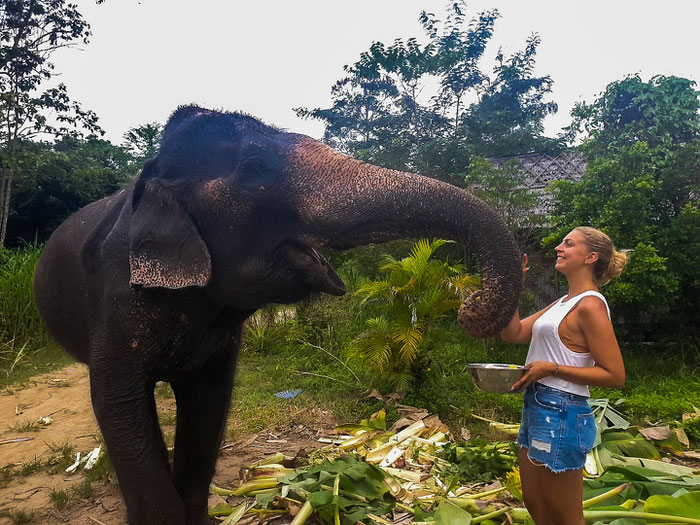 Sehenswürdigkeiten auf Koh Samui