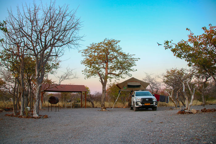 Etosha National Park