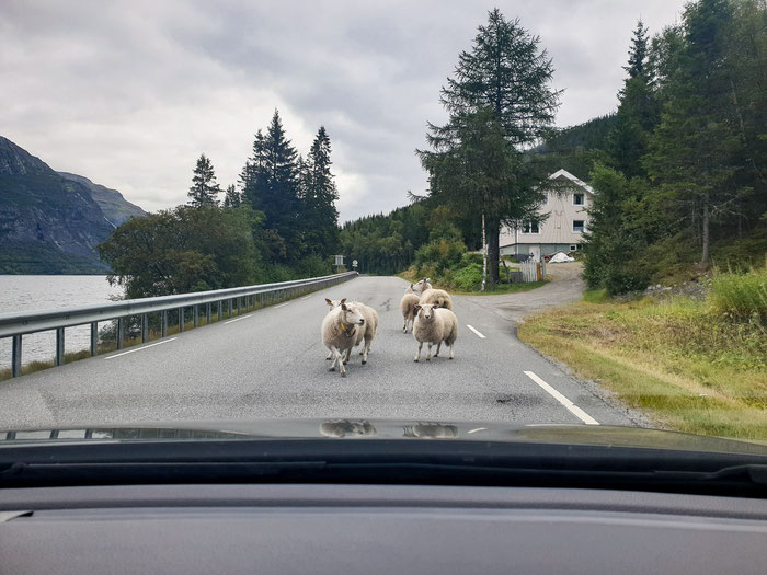 Oslo Mietwagen