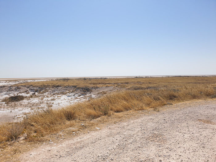 Etosha Salzpfanne