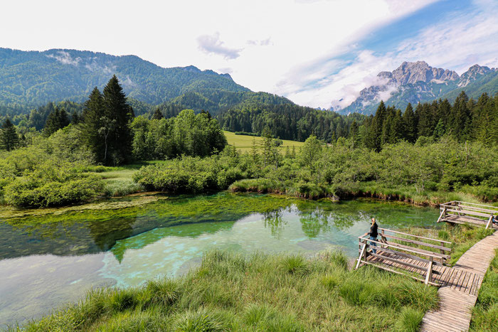 Soca Tal Roadtrip
