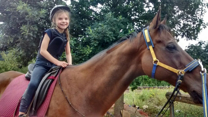 Konz, Kreis Trier-Saarburg: Reiten lernen in der Dualaktivierung! Kinder, Reitanfänger, Wiedereinsteiger, ängstliche Reiter 