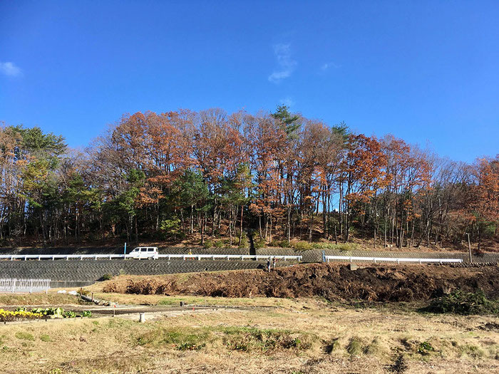 川内村住環境整備プロジェクト