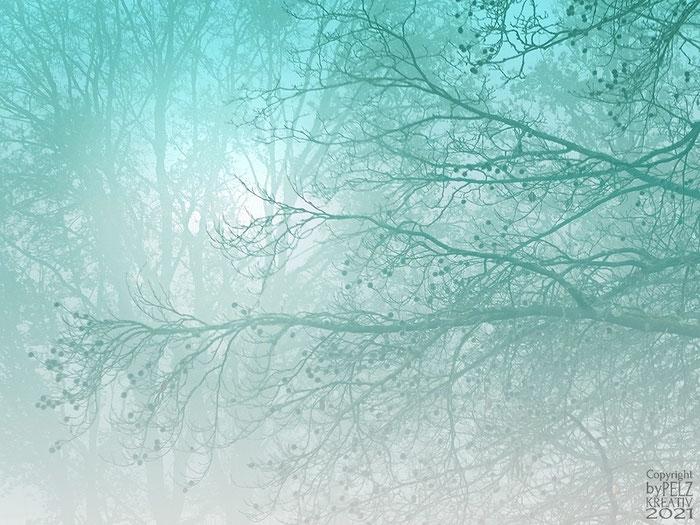 Exponattitel: Winterimpression - Exponatgrößen: 15 x 20 - Art: fineART - © by Pelz Kreativ 2021