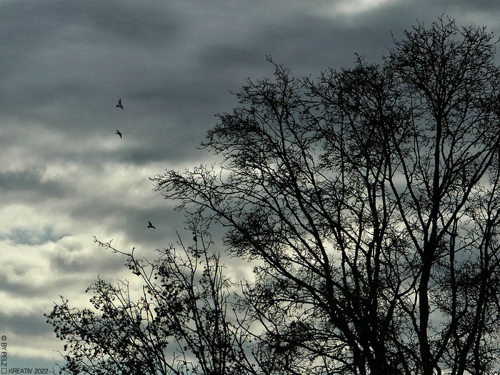 Exponattitel: Fly away with me - Exponatgröße:  30 x 40 - Art: fineART - © by Pelz Kreativ 2022