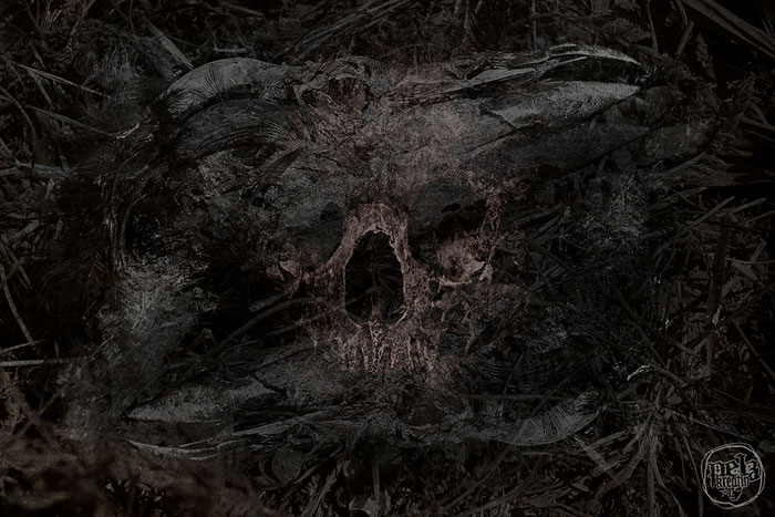Exponattitel: Rabra-Kadavra - Exponatgrößen: 30 x 45 - Art: digiART - © by Pelz Kreativ 2019