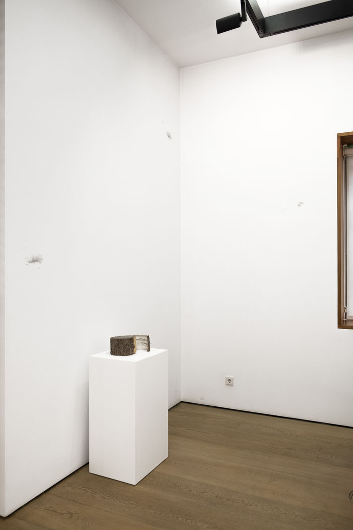 [ WO/D ]  Fotografía de obras en la exposición "La voluntad sostenida", en la galería Fernández-Braso. (2024)