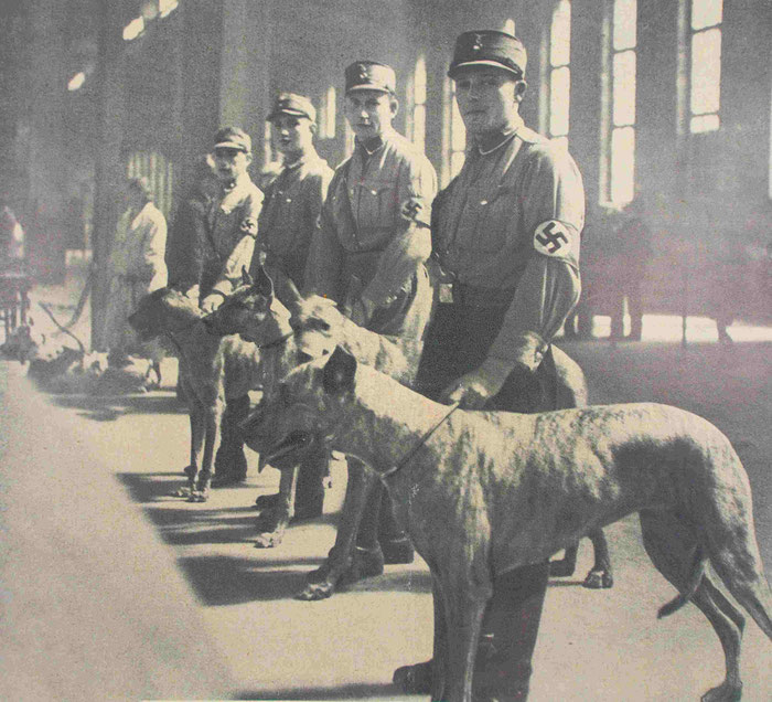SA Männer mit Doggen auf einer Hundeshow.