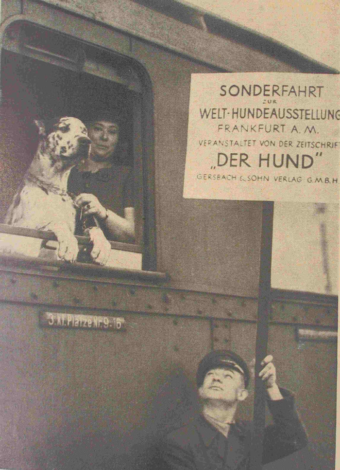 Grosse Bühne: Fahrt zur Welthundeausstellung in Frankfurt am Main 1935.
