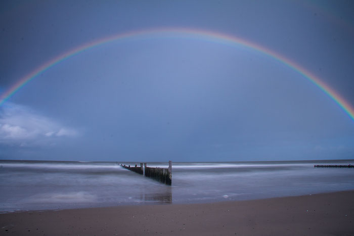 Moni Janßen  - Regenbogen