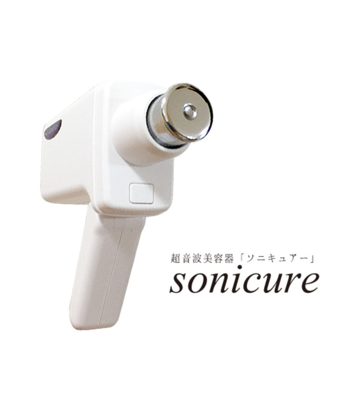 【✨️新品未使用✨️】エナジーテラピー セグイートシステムIP アイピー 機器 セグイートシステムIP
