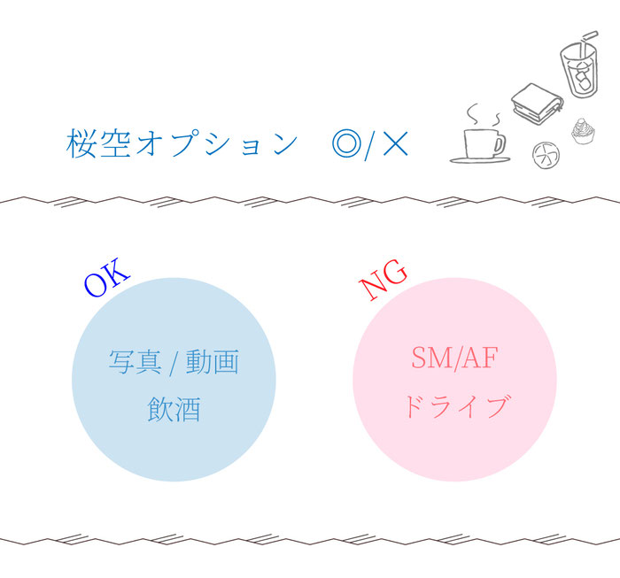 セラピストのオプション対応可否表　札幌 女性用風俗 女風