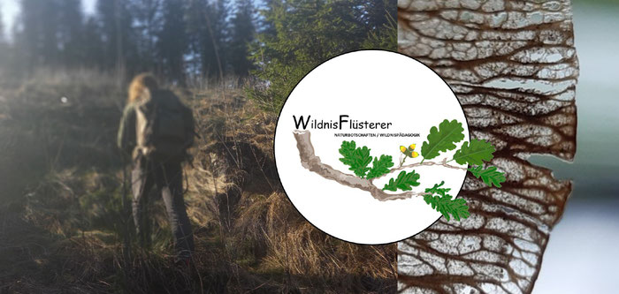 Wildnispädagogik