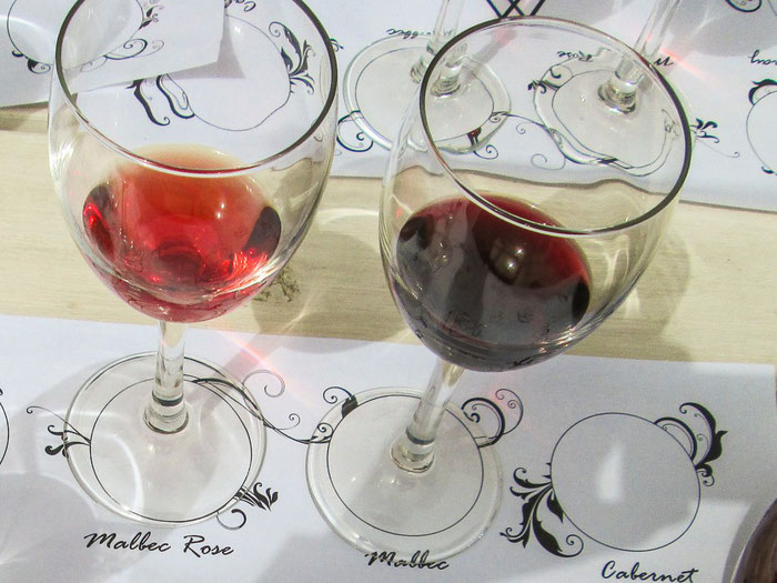 Weinverkostung in Mendoza