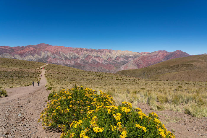 Serranía de Hornocal - Berg der 14 Farben in der Provinz Jujuy