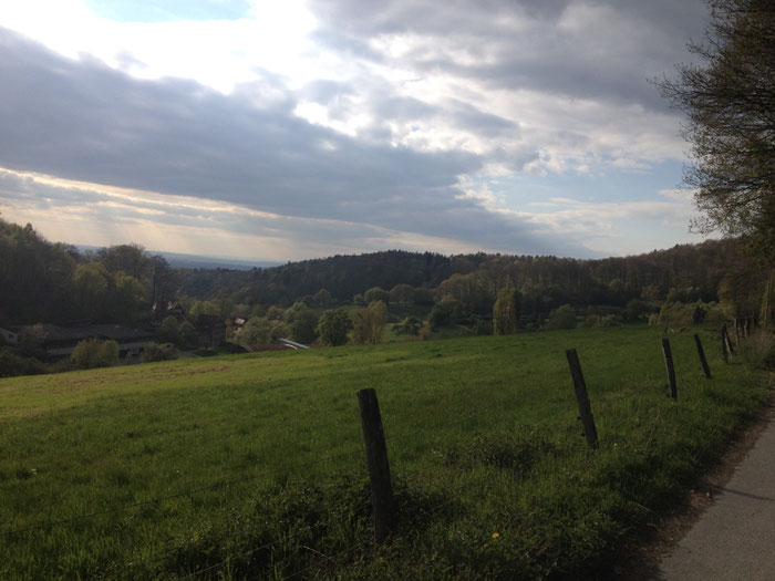 Blick auf die ehemalige Odenwaldschule im Hambacher Tal.