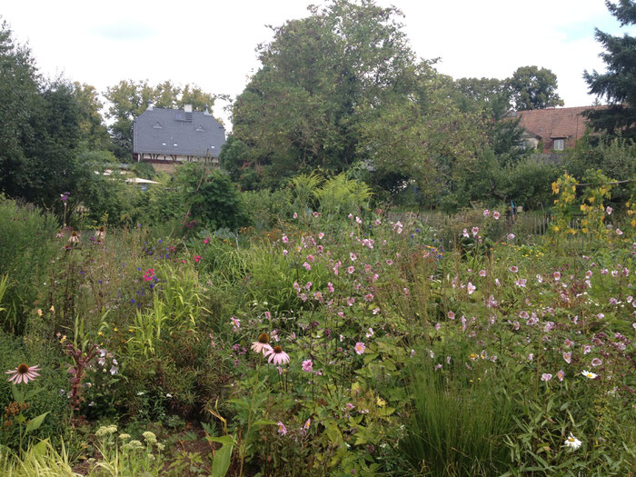 Der Bauerngarten im Hofgut Oberfeld in sommerlicher Pracht.