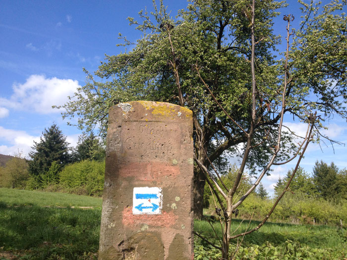 Die Wegmarkierung "blauer Querbalken" begleitet uns bis nach Erlenbach.